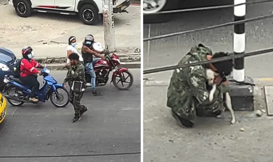 After Being Ignored, A Struggling Street Performer Is Provided A Warm Embrace By The Dog