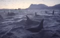 Largest Orca Pod In History Caught On Camera Off The Coast Of Norway (Video).