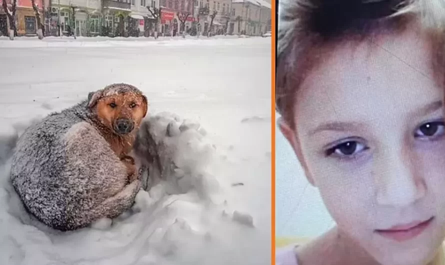 Stray Dog Cuddles 10-Year-Old Girl Lost In Freezing Temperatures To Save Her Life