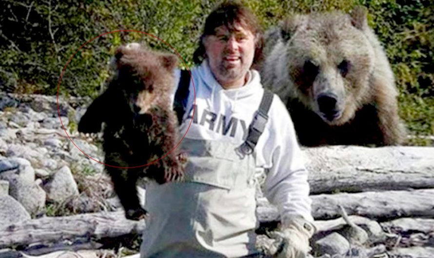 Fisherman saves a bear cub: the next day the mother bear comes to him with a present