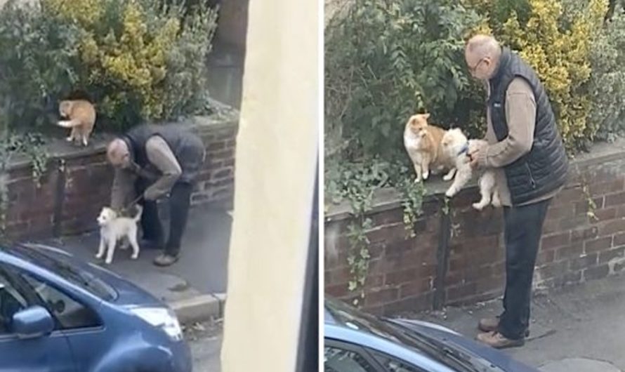 Pure Minute Saw As Woman Looks Out Her Window At A Stranger