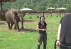 Woman’s Giving An Interview When An Elephant Sneaks Up From Behind