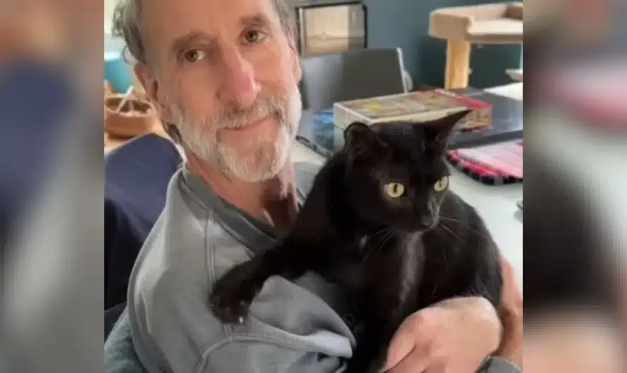 Man rescues tiny black cat from field not knowing he’d quickly return the favor