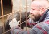 ‘Tough guy’ rescues hundreds of dogs from shelters and vows to give them perfect ‘forever home’