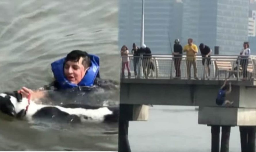 Birthday Celebration Interrupted as Man Saves Dog from Drowning in Brooklyn