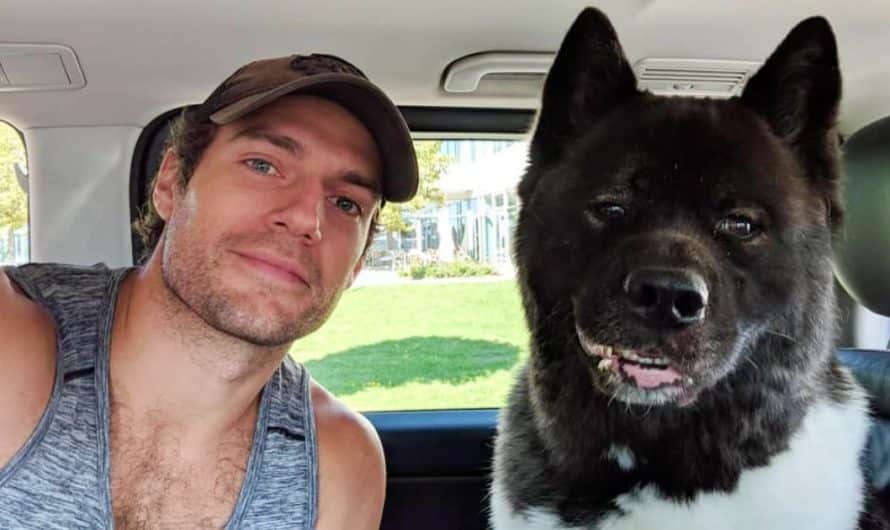 Dog ‘Saved’ Superman Star Henry Cavill From Mental Health Struggles