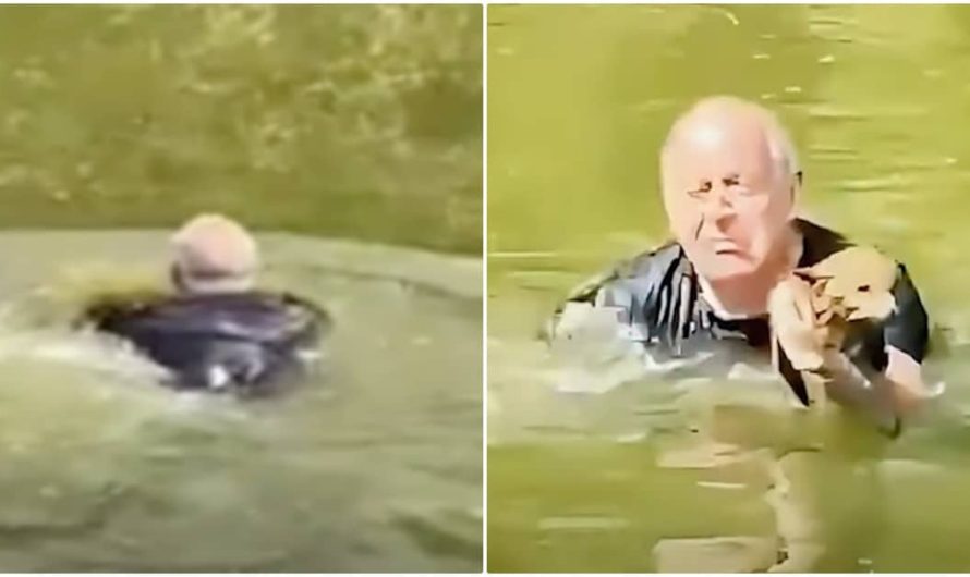 Man Paddles Out To Drowning Dog, But It Wasn’t A Dog At All