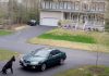 Great Dane Stops Owner in Driveway for the Sweetest ‘Special Greeting