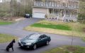 Great Dane Stops Owner in Driveway for the Sweetest ‘Special Greeting